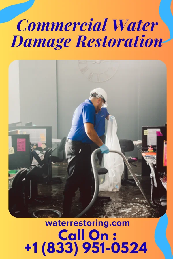 Commercial Water Damage Restoration in Ramos, TX