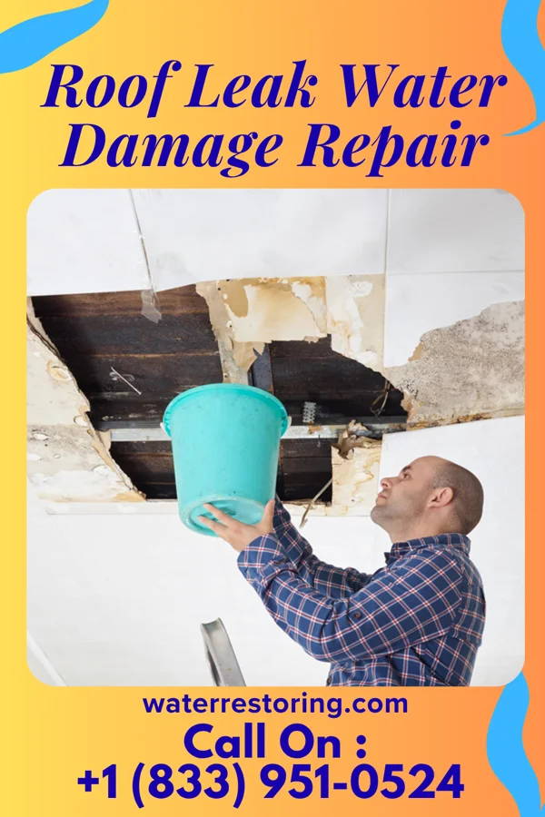 Roof Leak Water Damage Repair in Ramos, TX